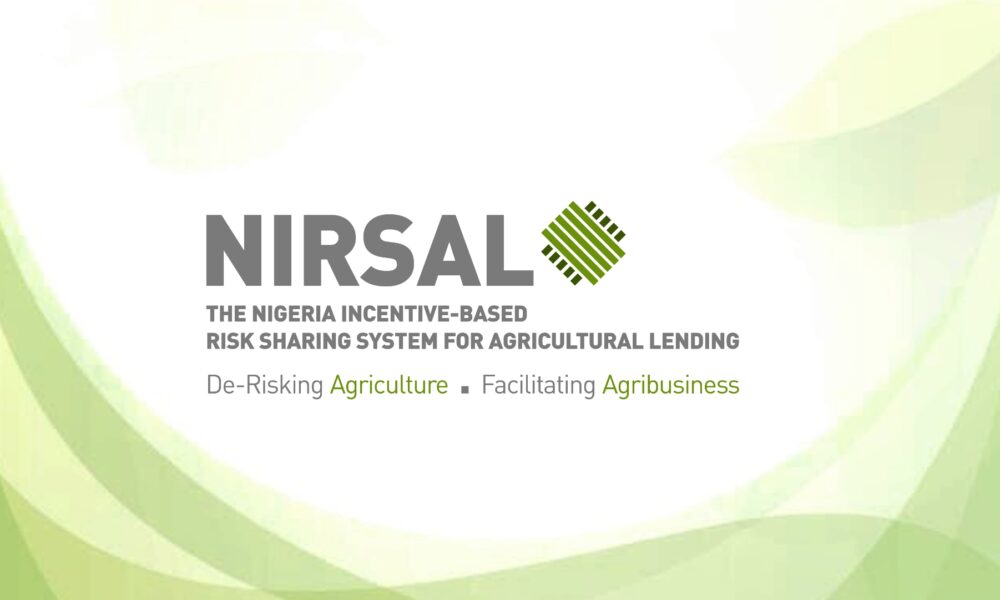 NIRSAL Unlocks Over ₦100bn in 2025, Powers 159,000 Jobs Across Agribusiness