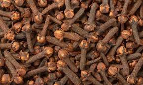 Nigeria Poised to Become Africa’s Second Commercial Cloves Producer