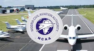 NCAA Gives Domestic Airlines 7 Days to Add Special Needs Booking Feature