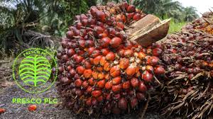 Presco Posts Record ₦178.6bn Pre-Tax Profit in 2025 on Strong Palm Oil Sales
