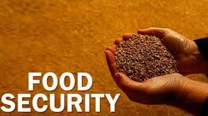 SEEDAN Unveils 5-Year Plan, Vows to Deliver High-Quality Seeds to Nigerian Farmers