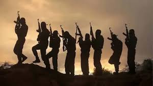 ISWAP Attack Kills Nine Soldiers, Imam, Abducts Women in Borno