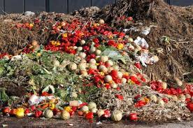 Nigeria Loses Up to N5 Trillion Annually to Food Waste, Report Warns