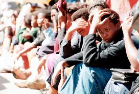 532 Million African Youths Trapped in Informal Work as Jobs Crisis Deepens