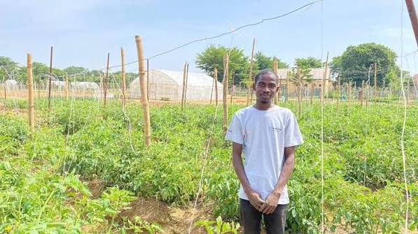 Zuma Agric Radio, IITA Partner to Expand Farmer Education and Agricultural Innovation