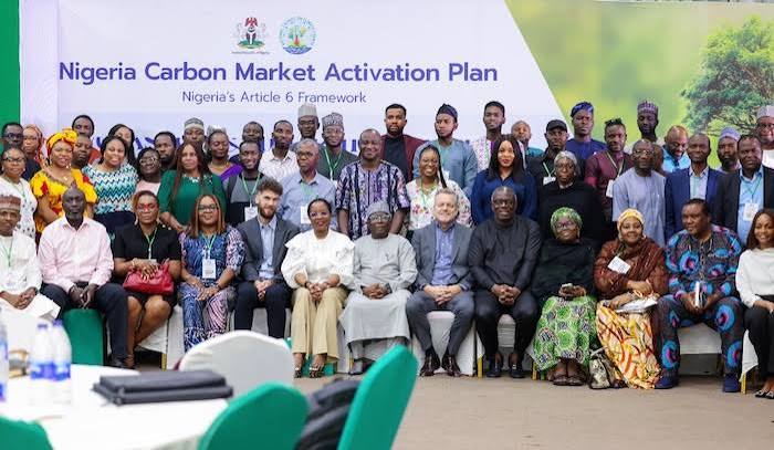 FG Approves Carbon Market Framework, Moves to Set Project Approval Rules