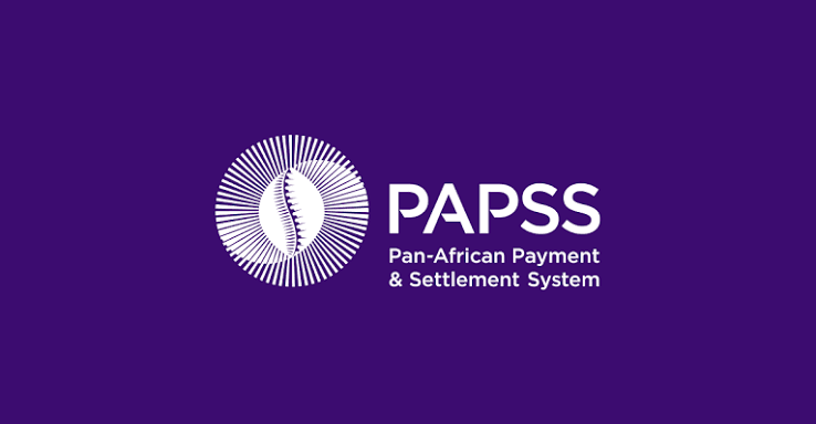 PAPSS Targets 1,000% Transaction Growth as African Payment Network Expands