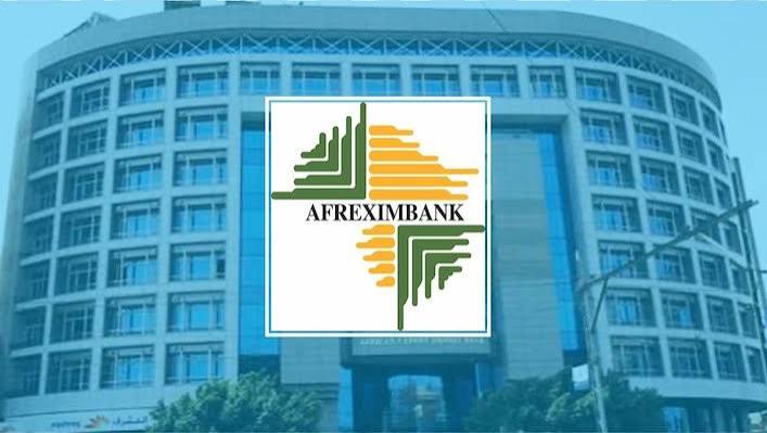 Afreximbank Boss Hails Shareholders, Says Africa Must Defend Its Own Institutions